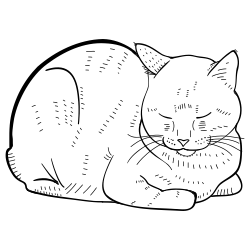 Line drawing of a cat laying with its paws tucked in and its eyes closed.