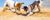 Growth/Sensitive-GI For Dogs