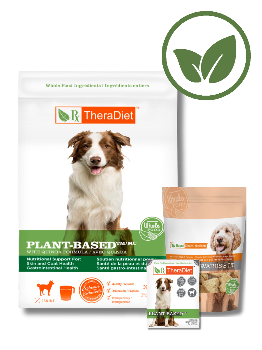 Rayne Canada | Whole Food Ingredients, Less-Processed Pet Food