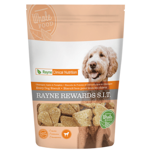 Rayne Rewards Apple &amp; Pumpkin Biscuits for Dogs