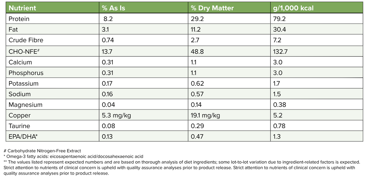 Plant-Based Chunky Stew Dog Food