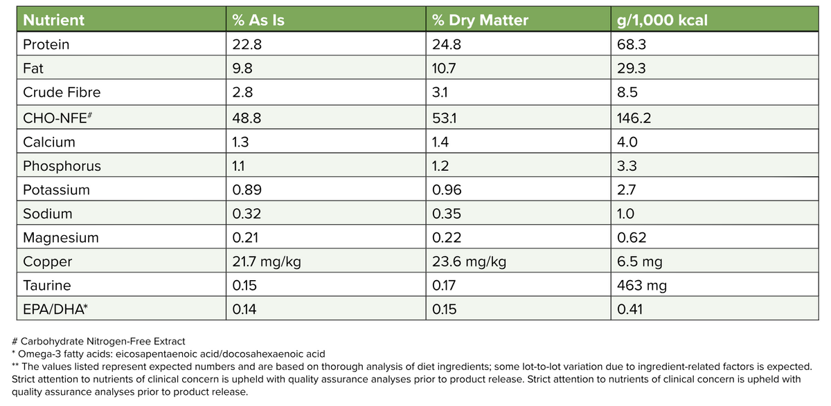Plant-Based Dry Dog Food