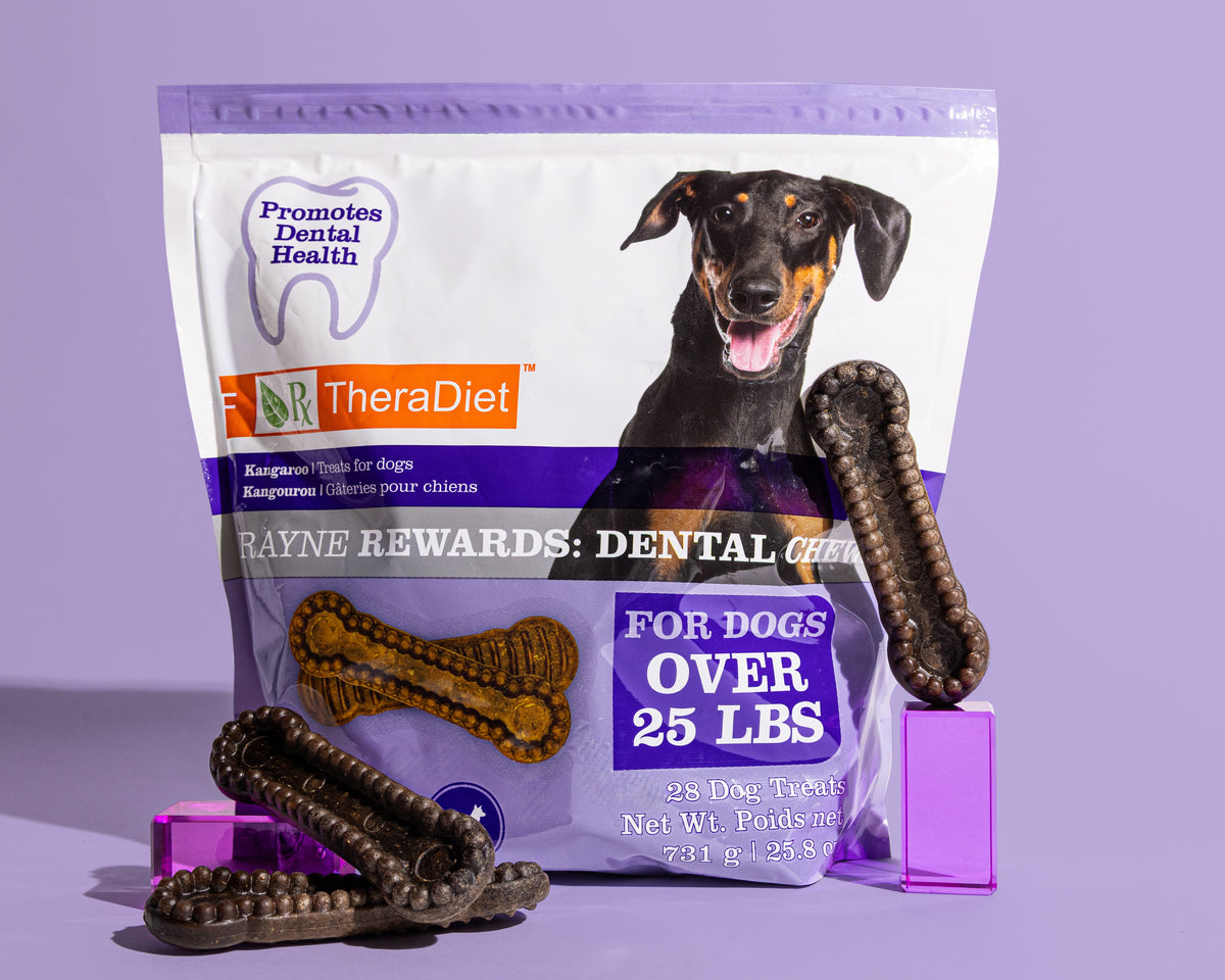 Kangaroo Dental Chews for Dogs